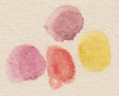 Palette de couleurs de Kilian Horn