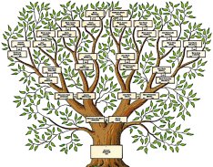 Arbre généalogique Loubet del Bayle