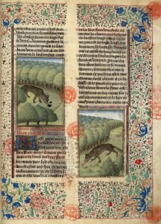 Le Livre de la Chasse, Bibliothèque Mazarine, Paris