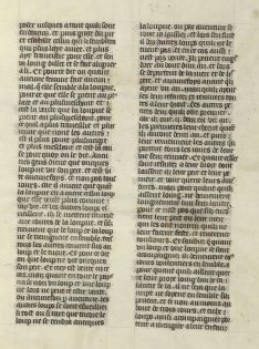 Le Livre de la Chasse, BnF, Dpt des Manuscrits français, 616