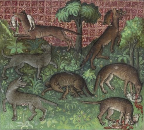 Chapitre X, Du loup et de toute sa nature, Livre de la chasse, Gaston Phébus