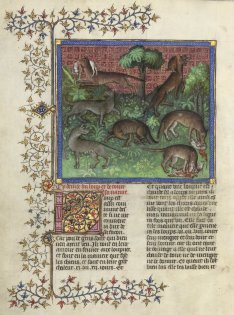 Le Livre de la Chasse, BnF, Dpt des Manuscrits français, 616
