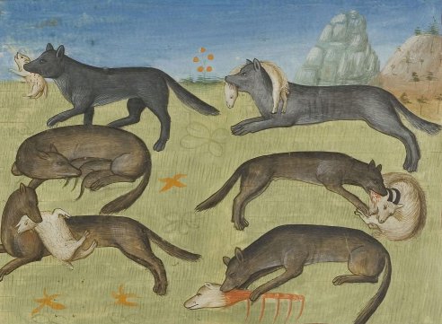 Chapitre X, Du loup et de toute sa nature, Livre de la chasse, Gaston Phébus