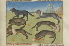 Le Livre de la Chasse, Musée Condé, Chantilly