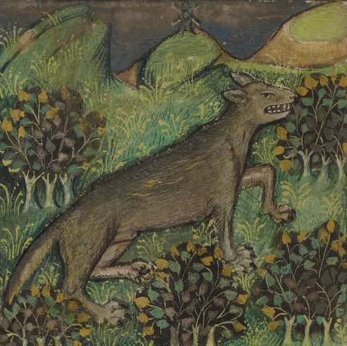 Chapitre X, Du loup et de toute sa nature, Livre de la chasse, Gaston Phébus