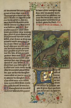 Le Livre de la Chasse, The J. Paul Getty Museum, Los Angeles