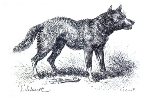  La Chasse de Gaston Phébus (Léon Bertrand, 1854)