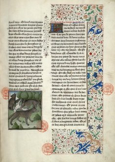Le Livre de la Chasse, Bibliothèque Mazarine, Paris