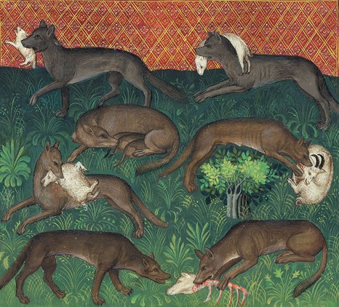 Chapitre X, Du loup et de toute sa nature, Livre de la chasse, Gaston Phébus