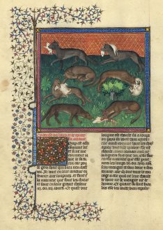 Le Livre de la Chasse, The Morgan Library & Museum, New York