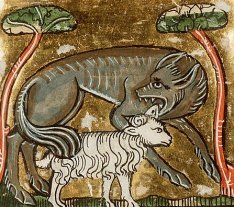 Le loup dans le Bestiaire Der naturen bloeme