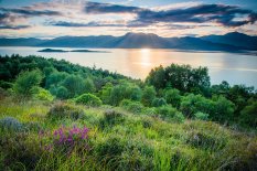 Glencoe Woods, Highland Titles, Ecosse