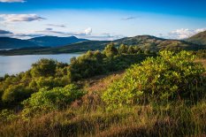 Glencoe Woods, Highland Titles, Ecosse
