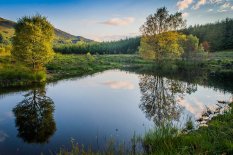 Glencoe Woods, Highland Titles, Ecosse