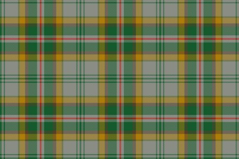 Tartan de chasse Loubet del Bayle par Fiona Whitson