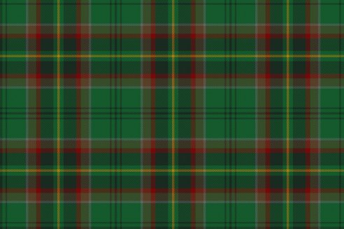 Tartan de chasse Loubet del Bayle par Fiona Whitson