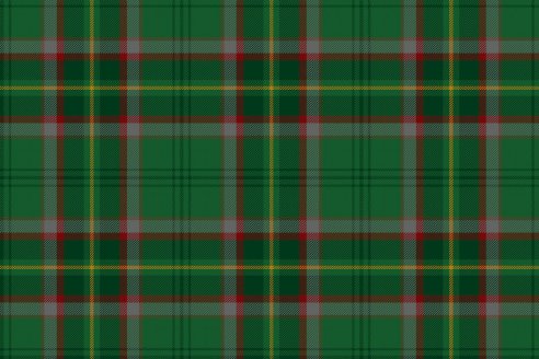 Tartan de chasse Loubet del Bayle par Fiona Whitson