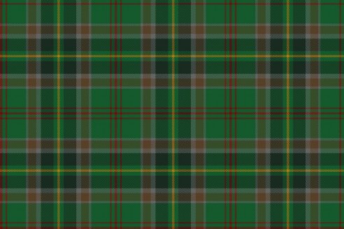 Tartan de chasse Loubet del Bayle par Fiona Whitson