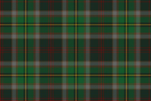 Tartan de chasse Loubet del Bayle par Fiona Whitson