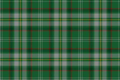 Tartan de chasse Loubet del Bayle par Fiona Whitson