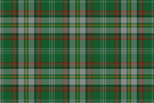 Tartan de chasse Loubet del Bayle par Fiona Whitson