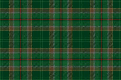 Tartan de chasse Loubet del Bayle par Fiona Whitson