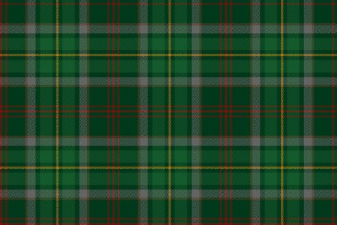Tartan de chasse Loubet del Bayle par Fiona Whitson