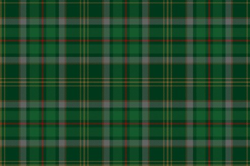 Tartan de chasse Loubet del Bayle par Fiona Whitson