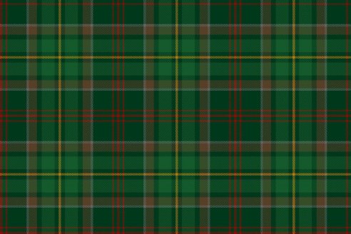 Tartan de chasse Loubet del Bayle par Fiona Whitson
