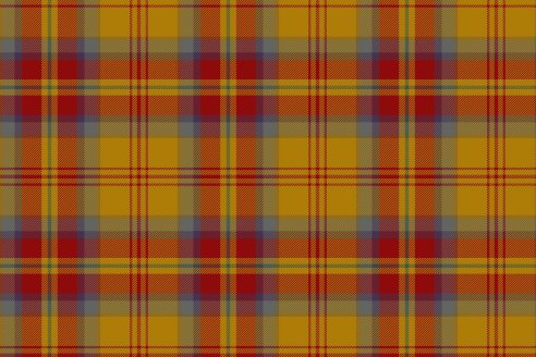 Tartan Loubet del Bayle par Fiona Whitson