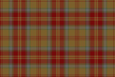 Tartan Loubet del Bayle par Fiona Whitson