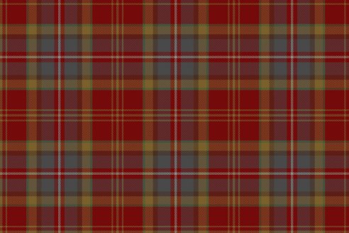 Tartan Loubet del Bayle par Fiona Whitson
