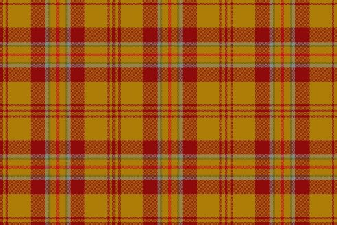 Tartan Loubet del Bayle par Fiona Whitson